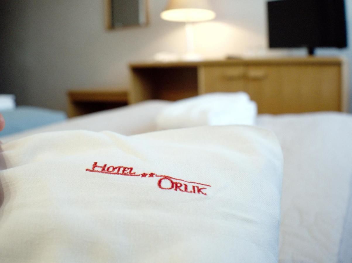 Отель Hotel Orlik Плоньск-30