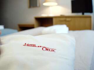 Отель Hotel Orlik Плоньск Двухместный номер с 1 кроватью или 2 отдельными кроватями-5