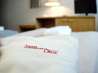 Отель Hotel Orlik Плоньск Двухместный номер с 1 кроватью или 2 отдельными кроватями-16